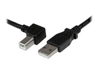 StarTech.com Câble USB 2.0 Type A vers USB Type B Coudé à Gauche Mâle / Mâle - Adaptateur pour imprimante 1 m Noir - Câble USB - USB type B (M) pour USB (M) - USB 2.0 - 1 m - connecteur à angle gauche - noir USBAB1ML