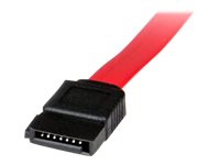 StarTech.com Câble adaptateur de 50 cm Slimline SATA femelle vers SATA avec alimentation SATA - Câble SATA - Serial ATA 150/300/600 - SATA Slimline (F) pour SATA, alimentation SATA - 50 cm - rouge SLSATAF50CMS