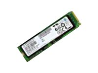 Lenovo ThinkPad - SSD - chiffré - 256 Go - interne - M.2 Card - TCG Opal Encryption 2.0 - pour ThinkPad X1 Carbon (2nd Gen) 20A7, 20A8 4XB0G54146