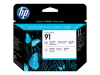 HP 91 - Gris clair, photo noire - tête d'impression - pour DesignJet Z6100, Z6100ps C9463A