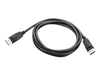 Lenovo - Câble DisplayPort - DisplayPort (M) pour DisplayPort (M) - 1.8 m - pour ThinkCentre M75t Gen 2; M80s Gen 3; M90a Gen 3; M90q Gen 2; M90t Gen 3; ThinkCentre neo 70 0A36537